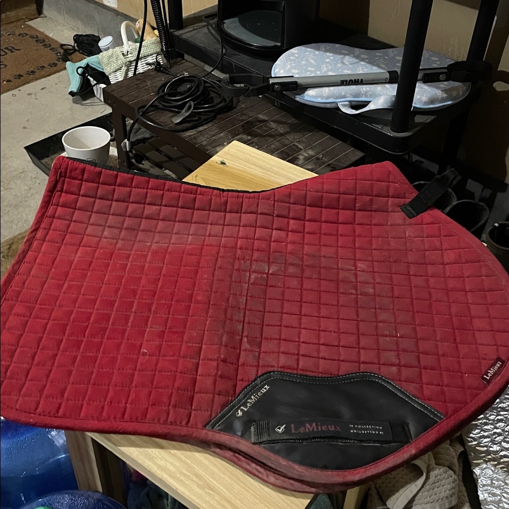LeMieux Suede Chili CC Large